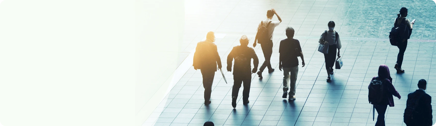 新着情報・法改正情報